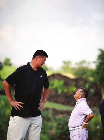 段的成功晋 段的成功晋