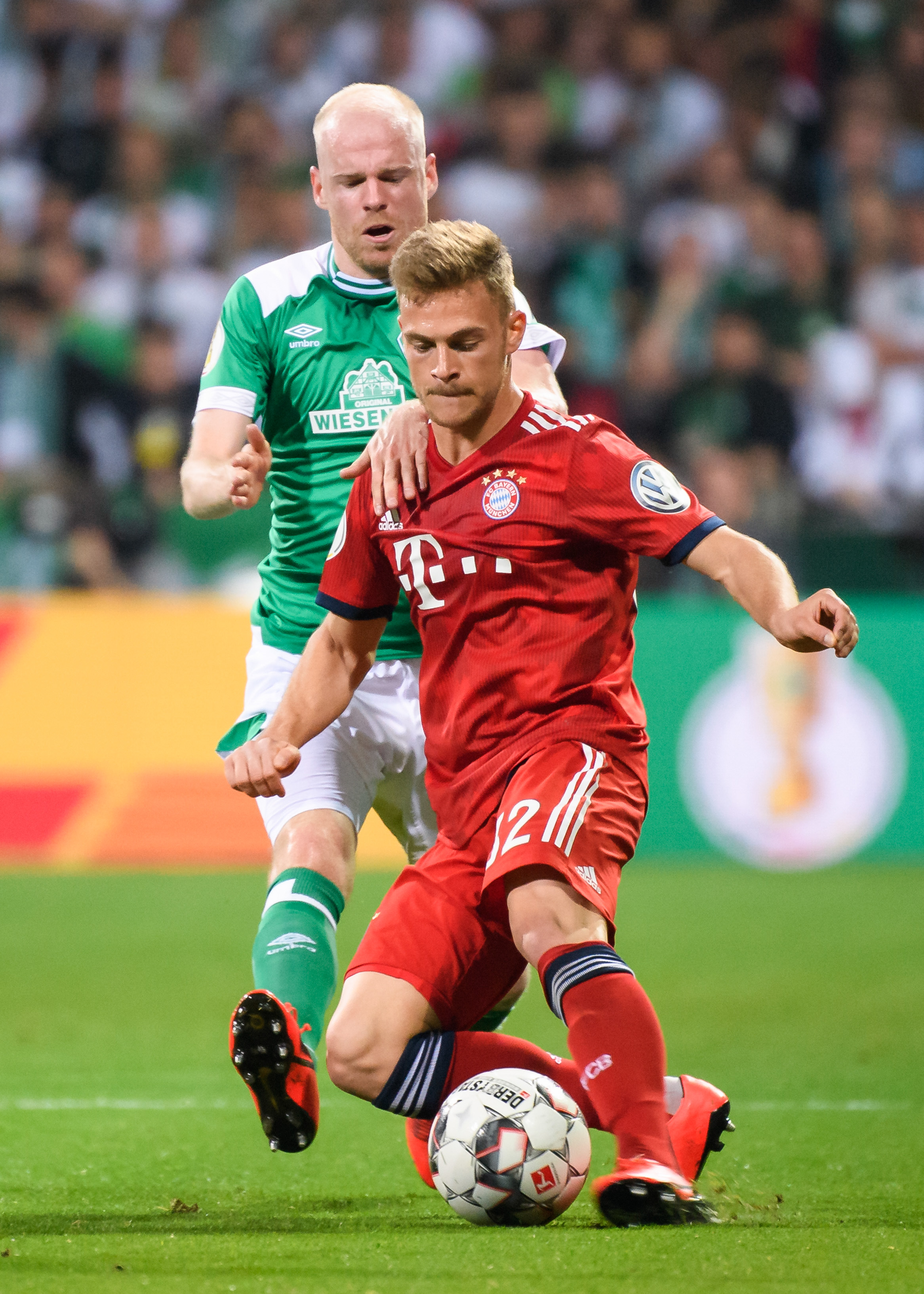 竞争极为激 竞争极为激