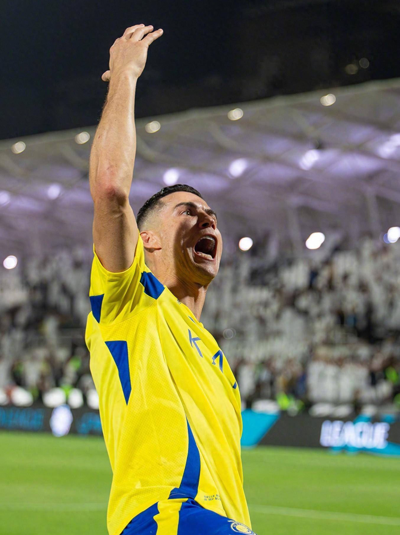 多点呈现 多点呈现